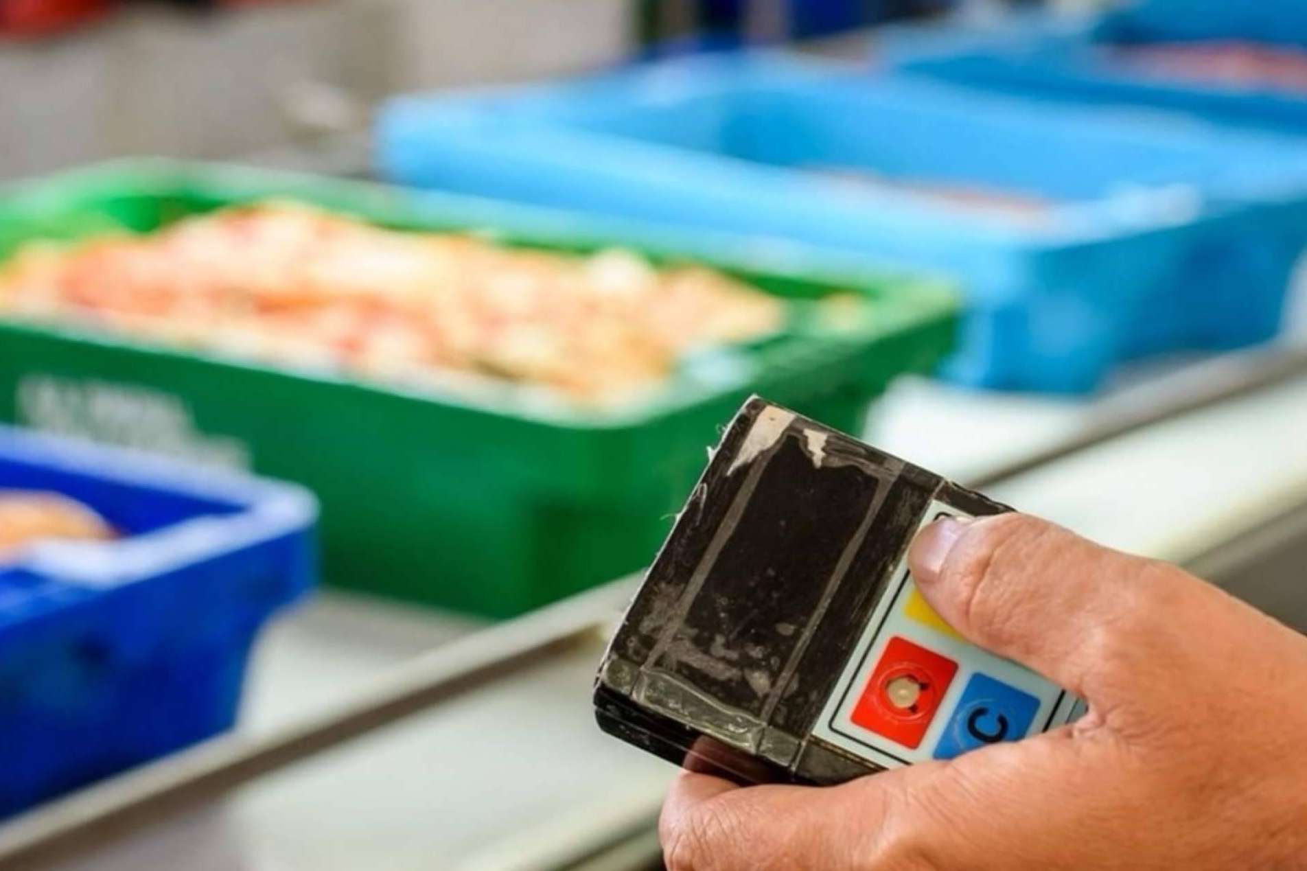 Mariscos online para esta Navidad