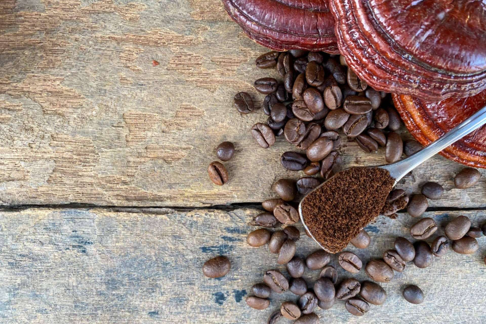 La Tienda De Cristóbal y la combinación de café con ganoderma