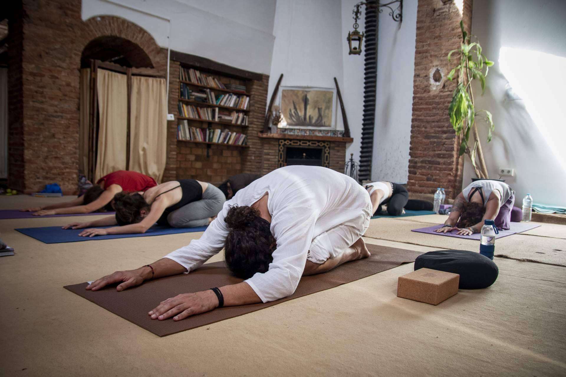 Formación intensiva de Yoga y Meditación en Hatha Tradicional, ofertas limitadas para julio y agosto de 2022