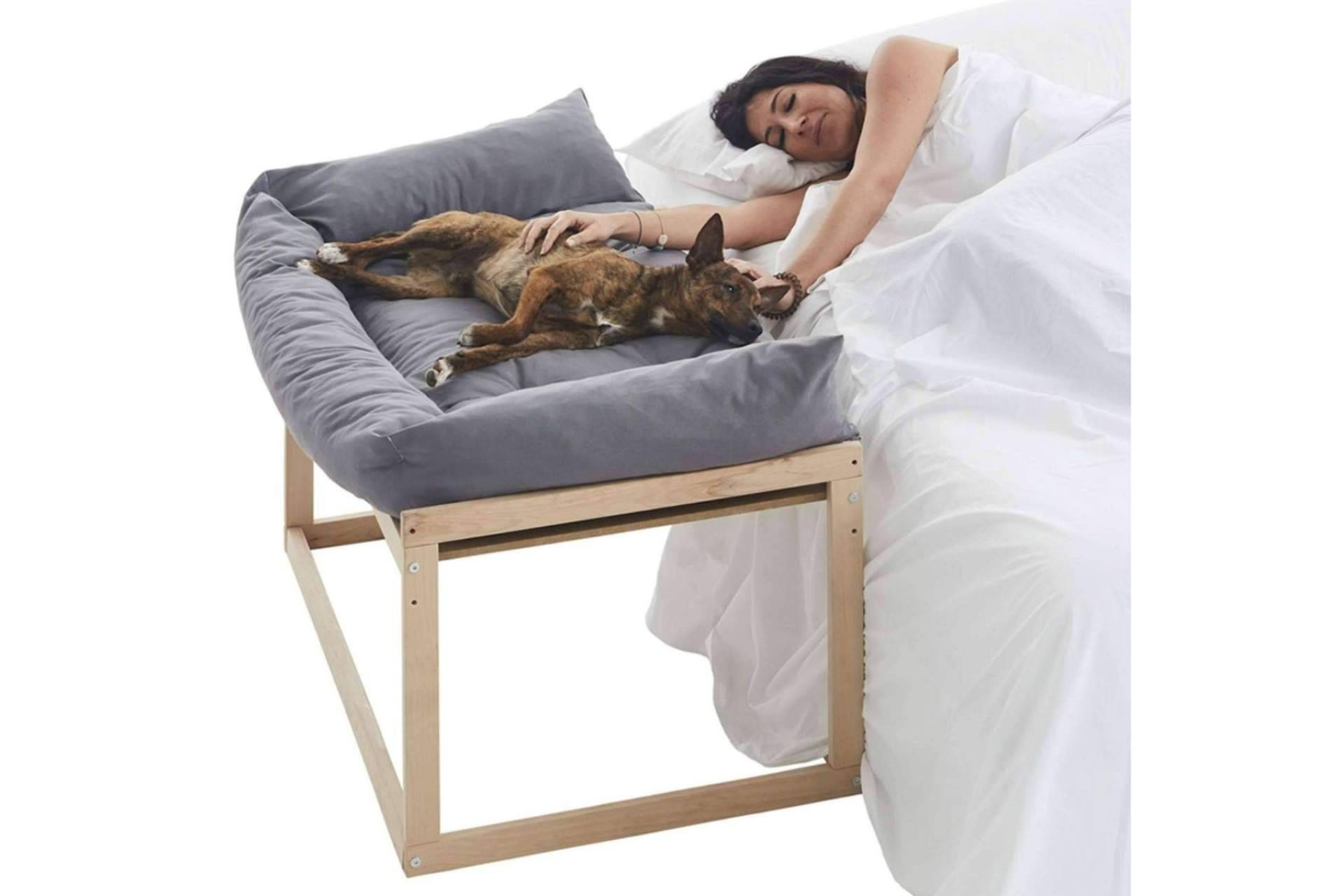 Camas colecho para perros, en Cool-Dreams