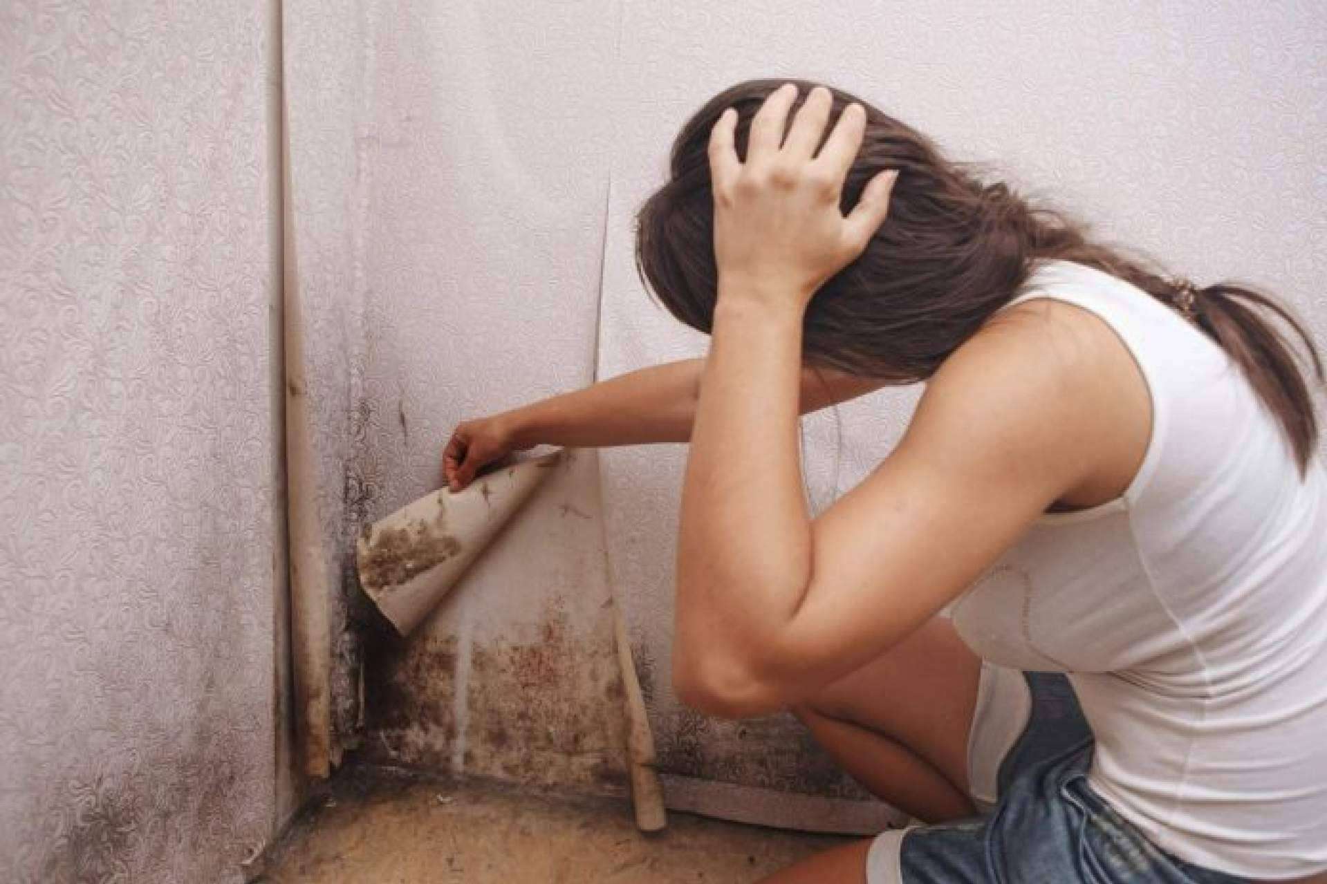 Los sistemas de Preactiva para quitar la humedad de las paredes