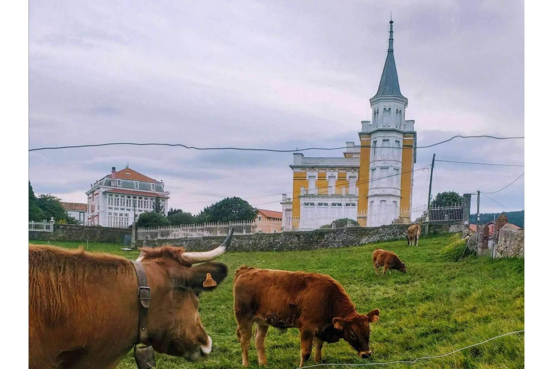 Por qué visitar Asturias y alojarse en el Hotel Rural MonteSomao