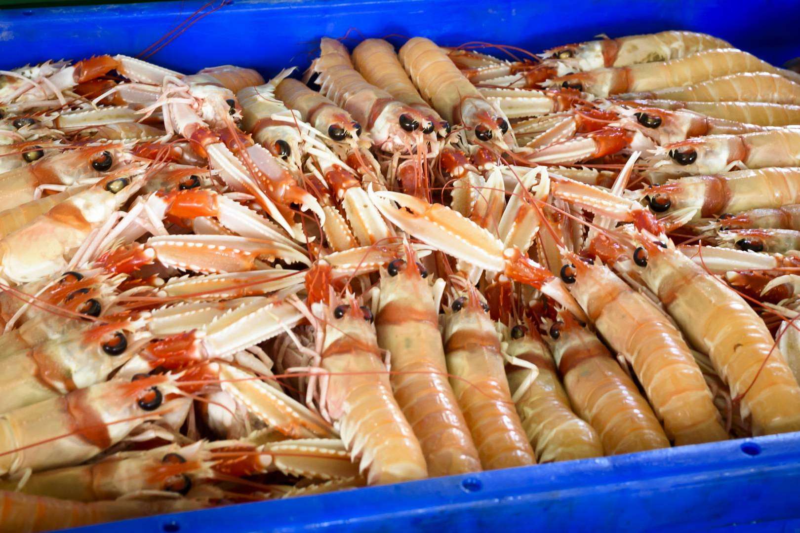 Consumir marisco fresco más delicioso, de la mano de Lonja de Ayamonte