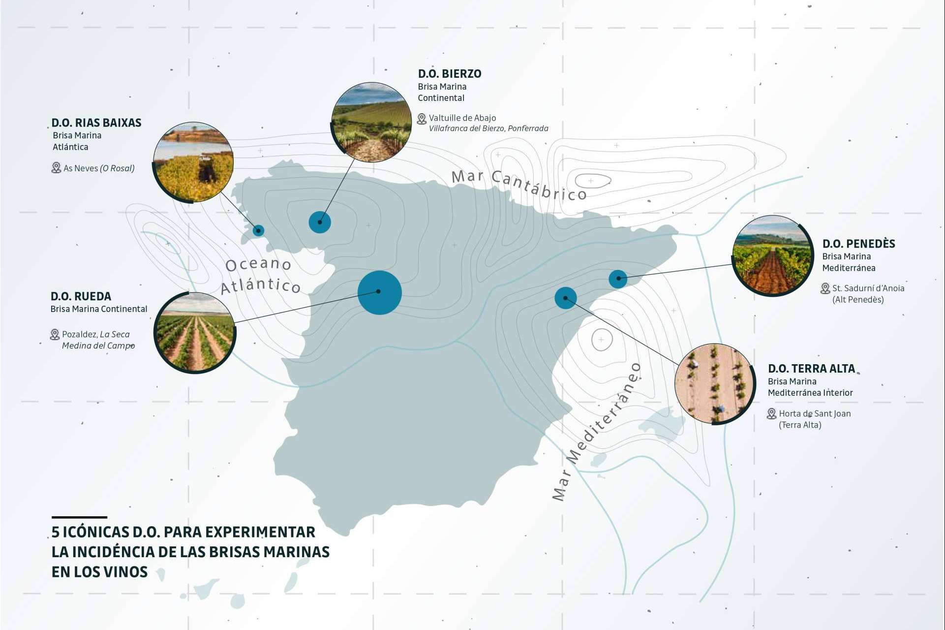 BRISA MARINA, la colección de vinos de Naturelovers Wines