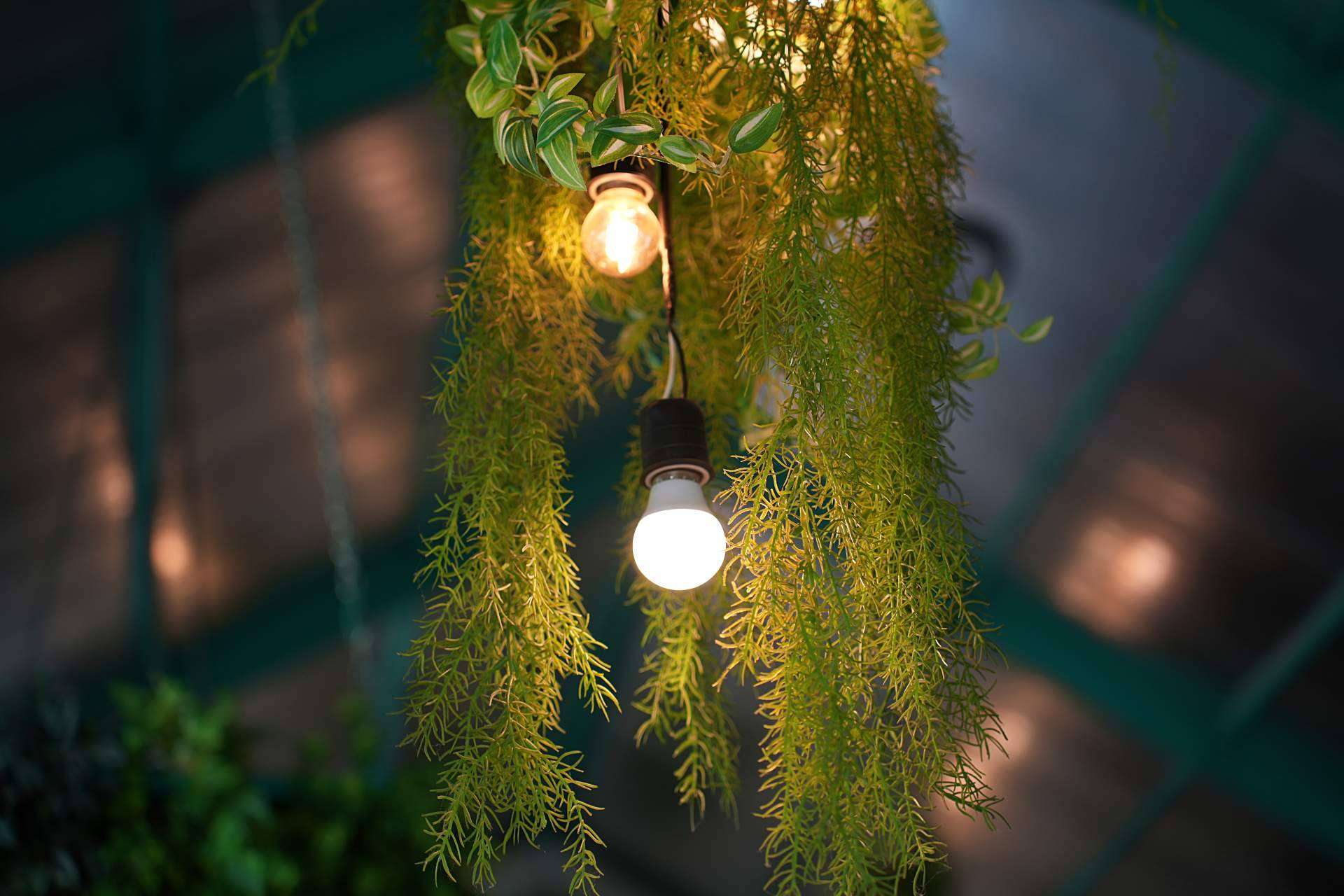 7 Plantas artificiales colgantes para decorar el hogar y darle un toque natural sin ocupar espacio