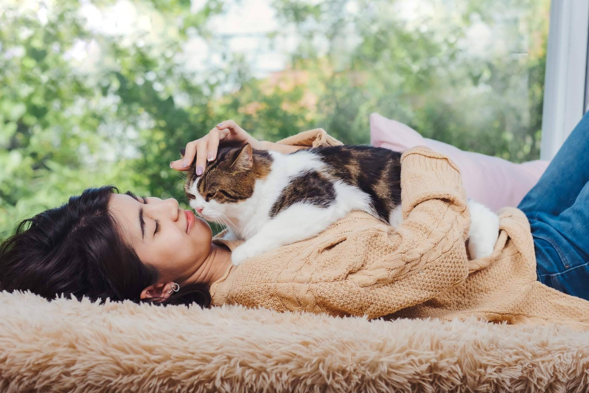 Curso completo de primeros auxilios diseñado para animales de compañía