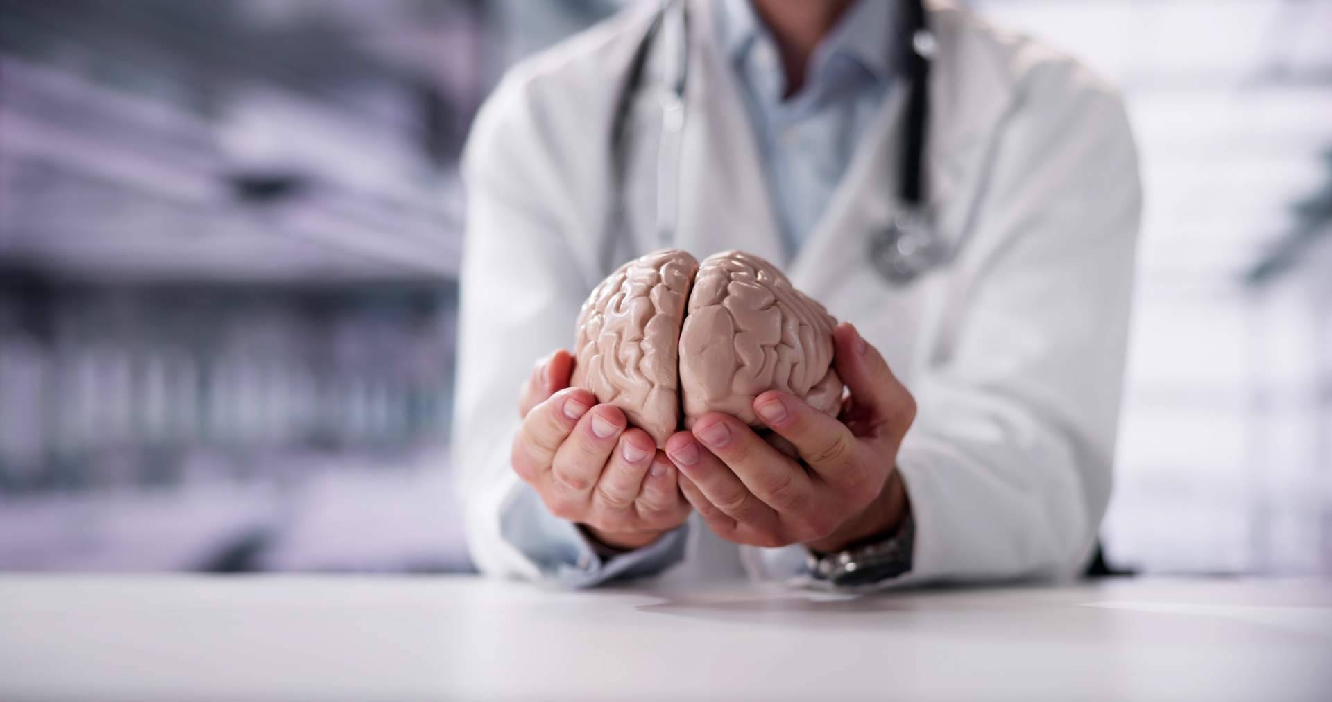 INIMA Rehabilitación ofrece servicios de neurorrehabilitación y fisioterapia a domicilio en Valencia
