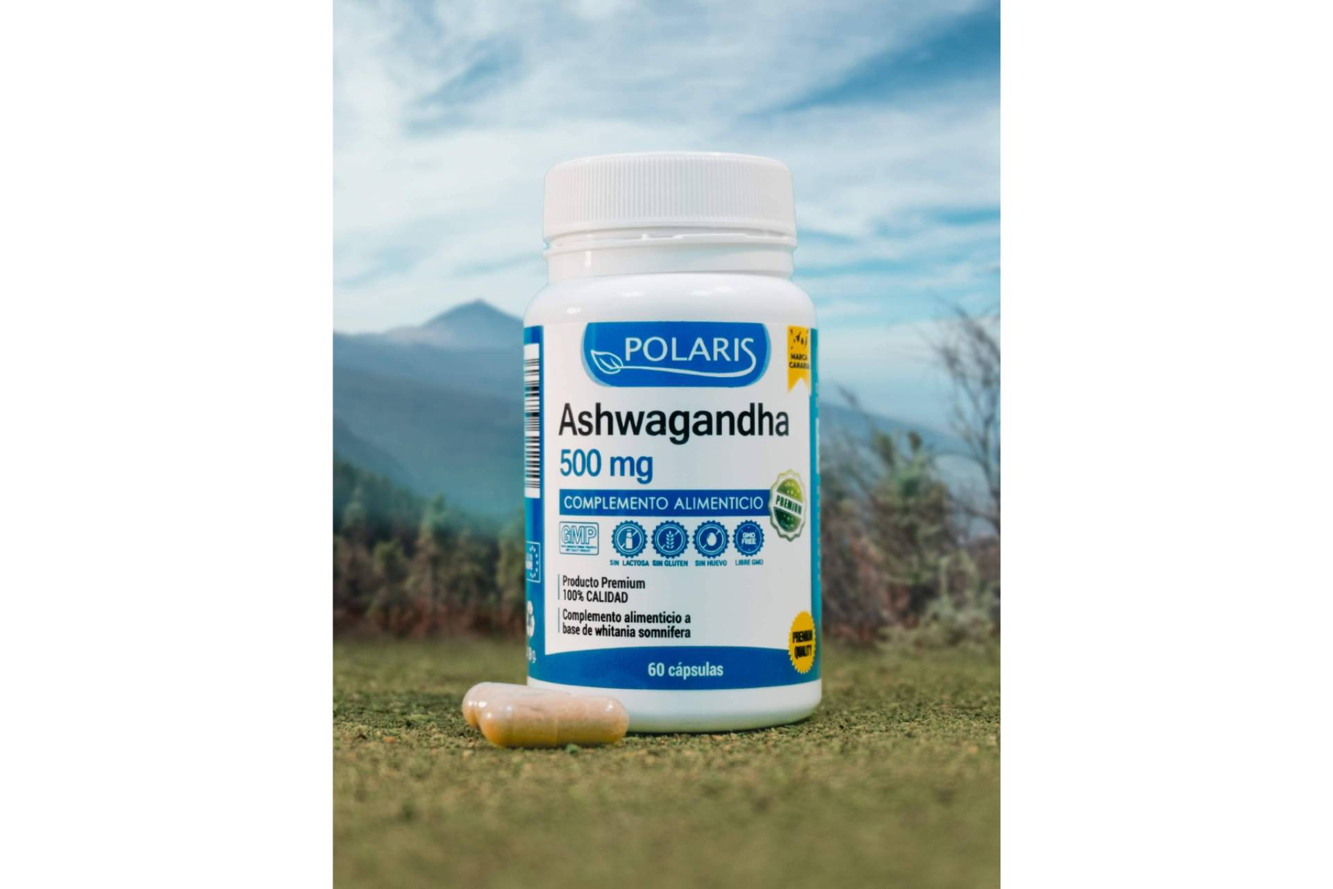 Virtudes de la ashwagandha como complemento alimenticio