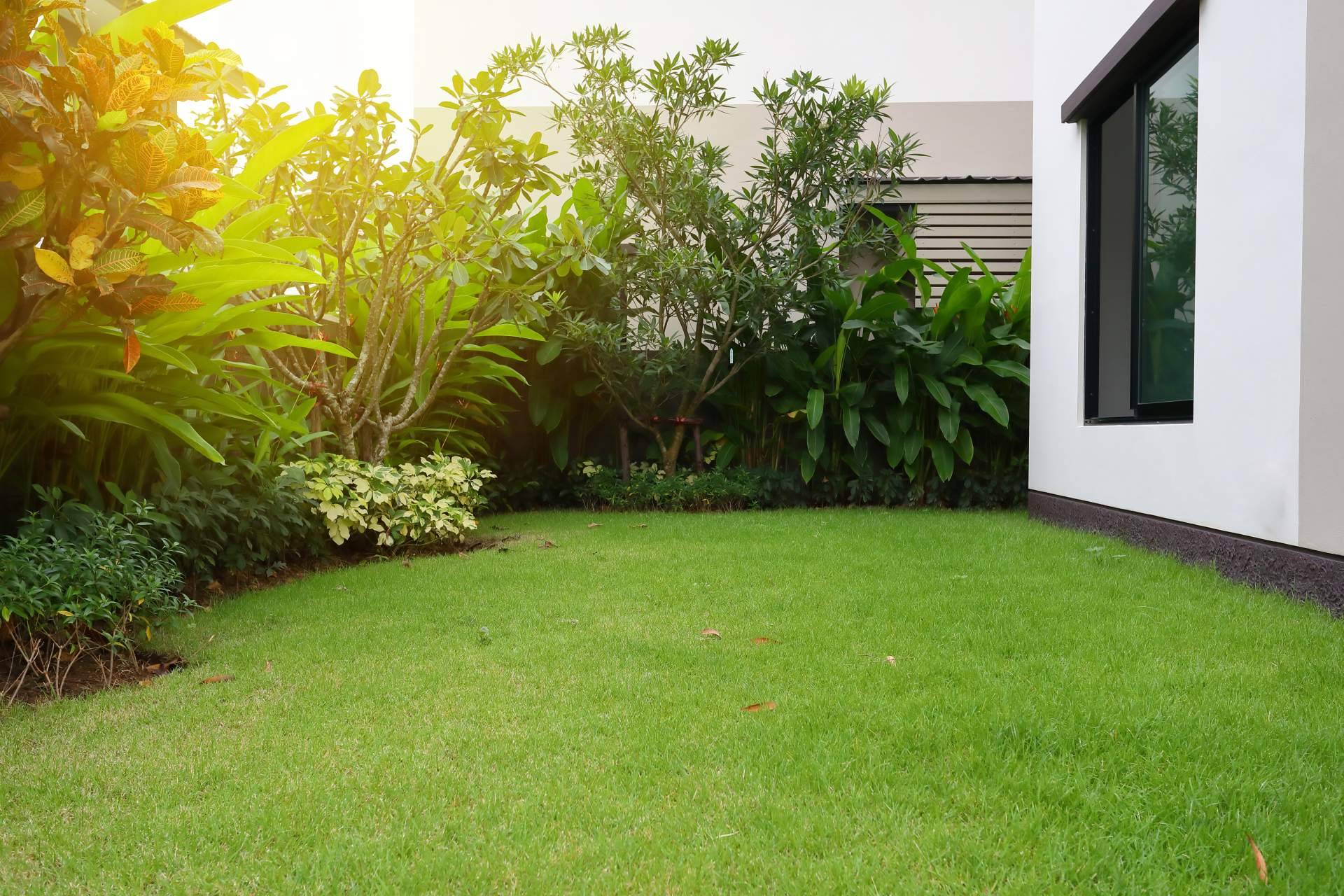 Descubrir el secreto para tener un jardín impecable todo el año