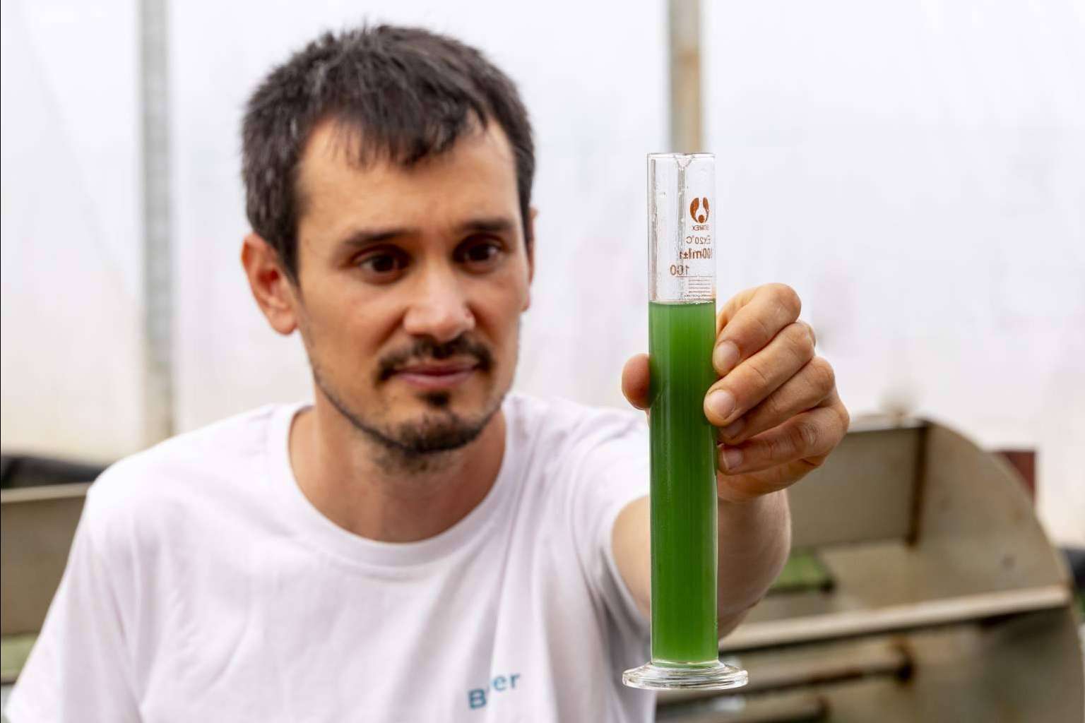 Usos y beneficios de la espirulina, por Blauver Foods
