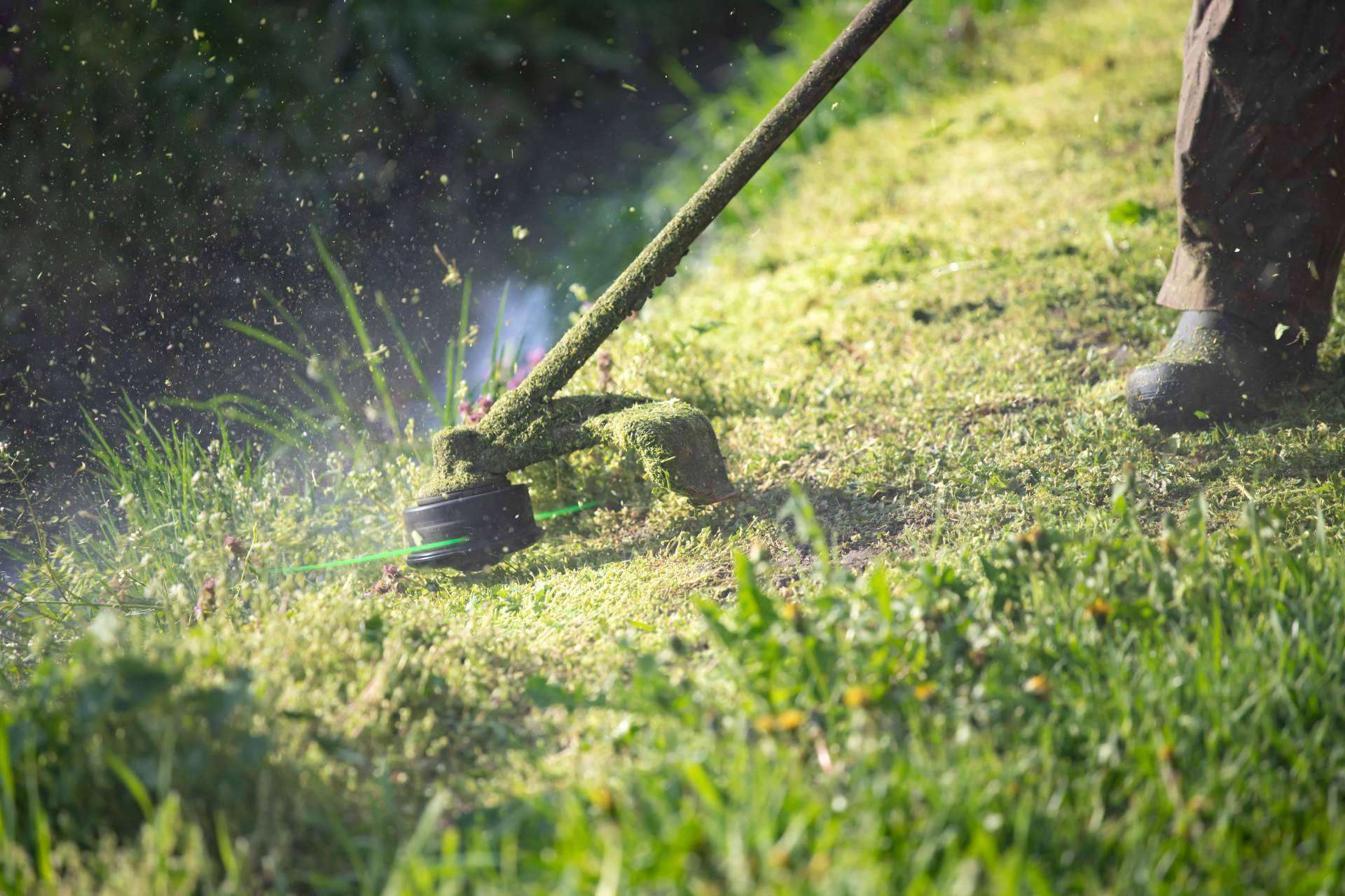 Innovación y excelencia en jardinería para una Barcelona más verde