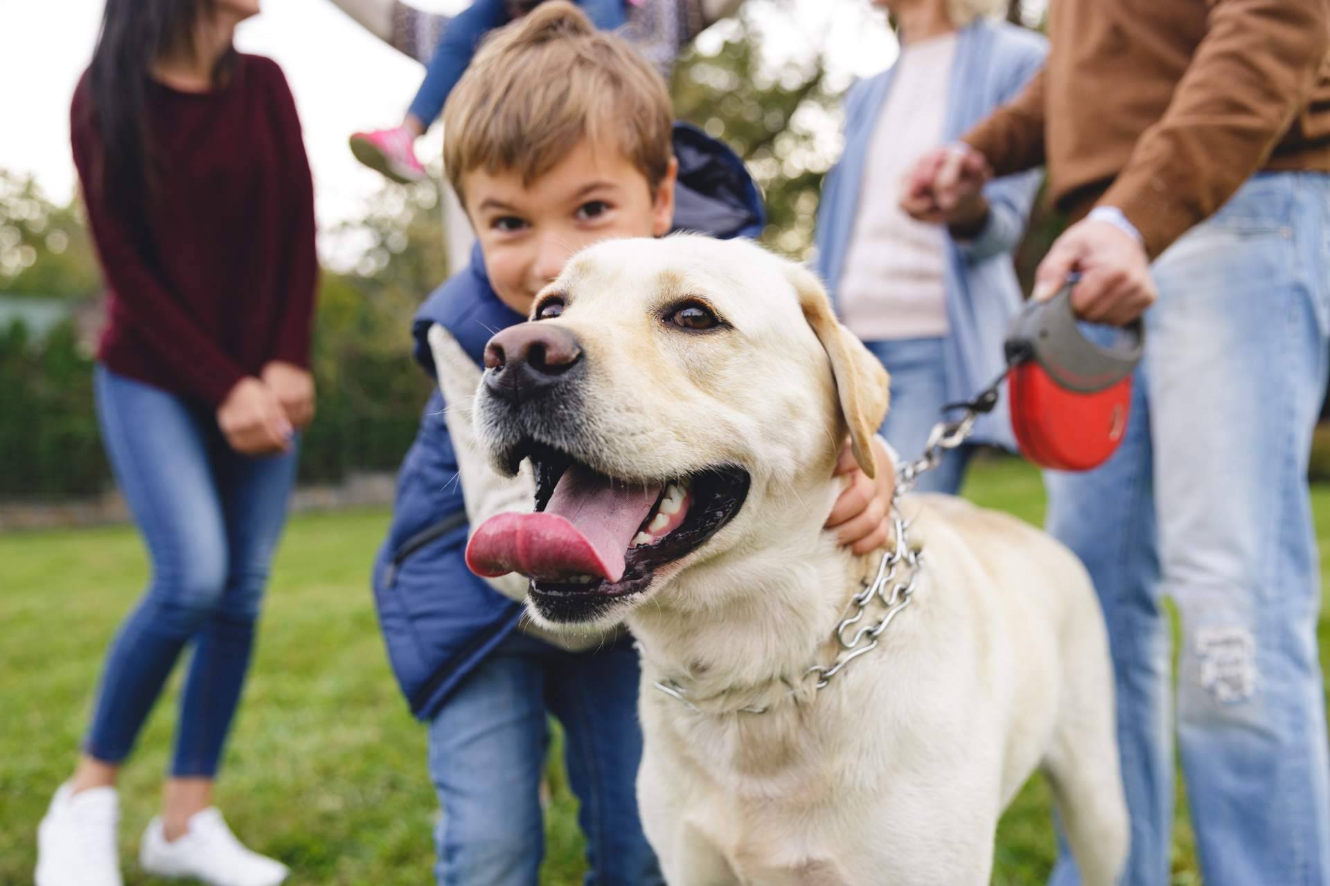 ¿Dónde dejar a a las mascotas en verano? La respuesta está en Granja La Luna