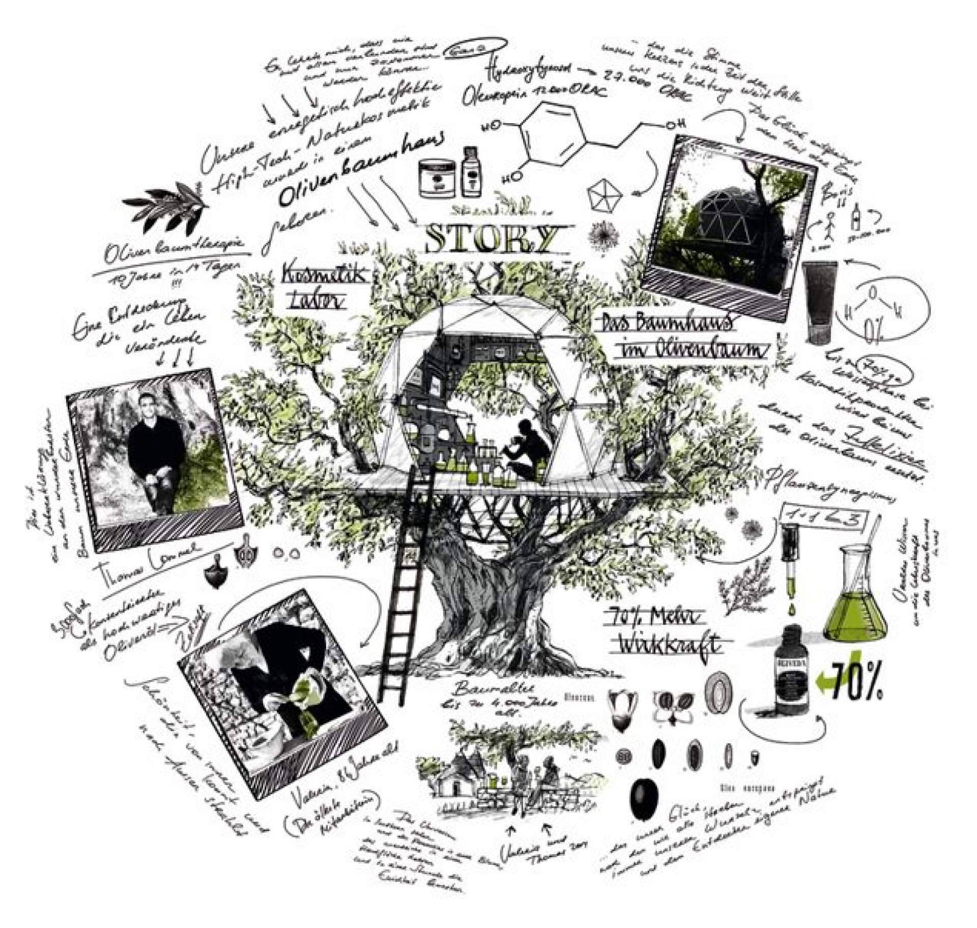 La Familia de los olivos