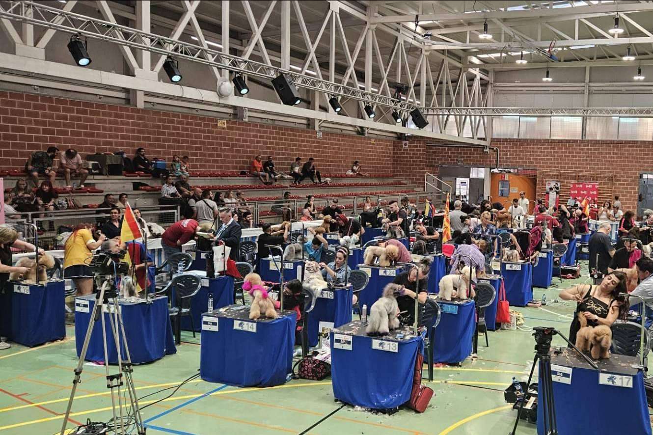 El mejor estilismo canino del mundo llega a Murcia en octubre