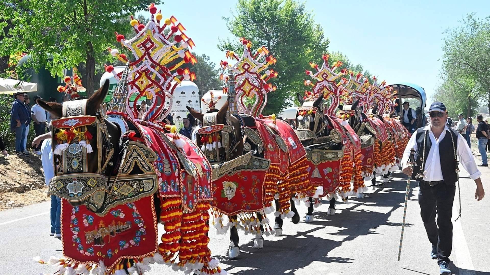Una romería de récord posiciona a Tomelloso como destino clave del turismo cultural en España