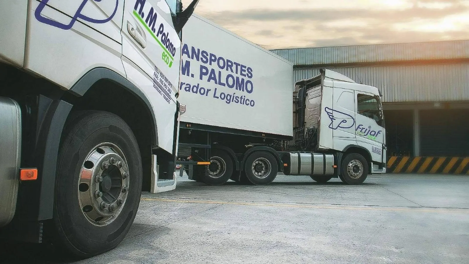 Everwood incorpora Grupo Palomo a Prontia Logística para crecer en logistica de frío